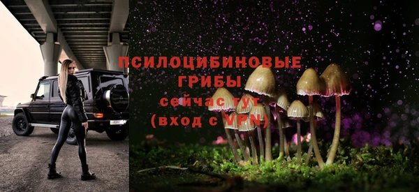 амф Новозыбков