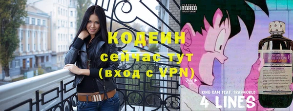 амф Новозыбков