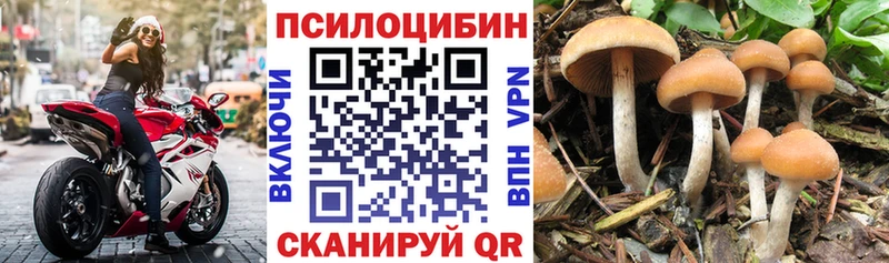 ОМГ ОМГ tor  Катайск  Псилоцибиновые грибы Psilocybe  закладка 